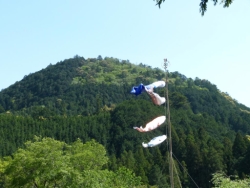 画像40